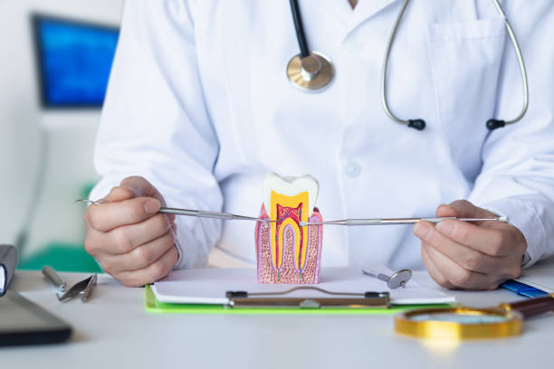 Best Emergency Broken Tooth Repair in Ottawa, IL